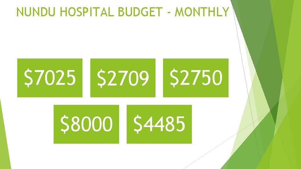 NUNDU HOSPITAL BUDGET - MONTHLY $7025 $2709 $2750 $8000 $4485 