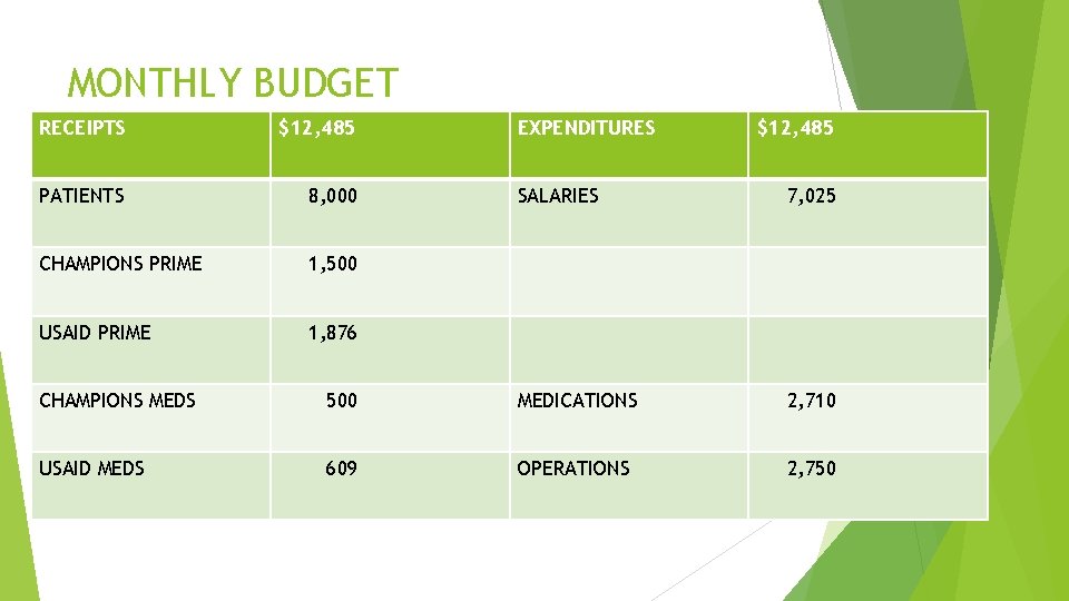 MONTHLY BUDGET RECEIPTS $12, 485 PATIENTS 8, 000 CHAMPIONS PRIME 1, 500 USAID PRIME