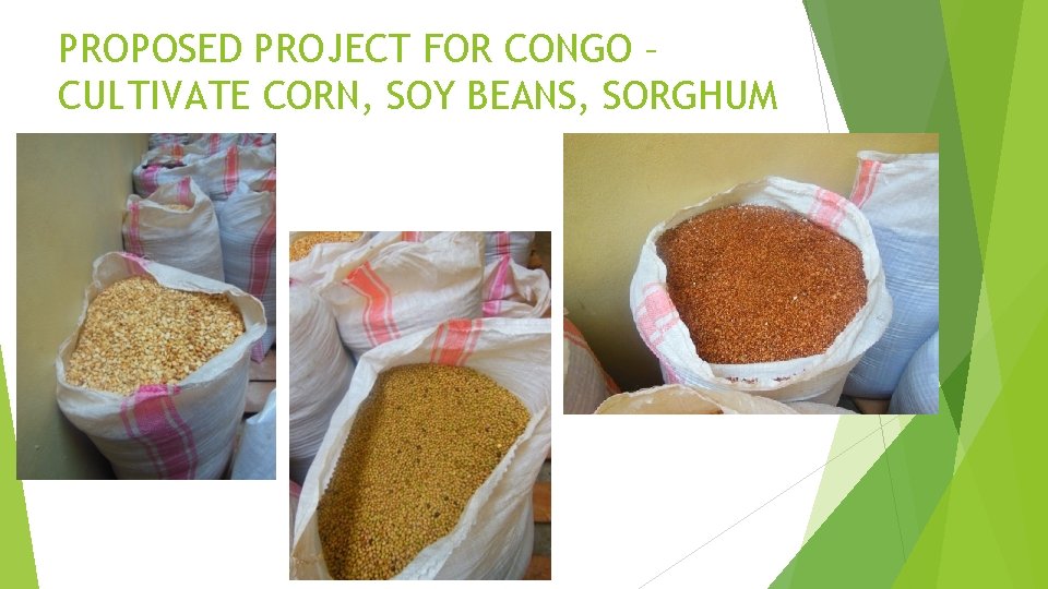 PROPOSED PROJECT FOR CONGO – CULTIVATE CORN, SOY BEANS, SORGHUM 