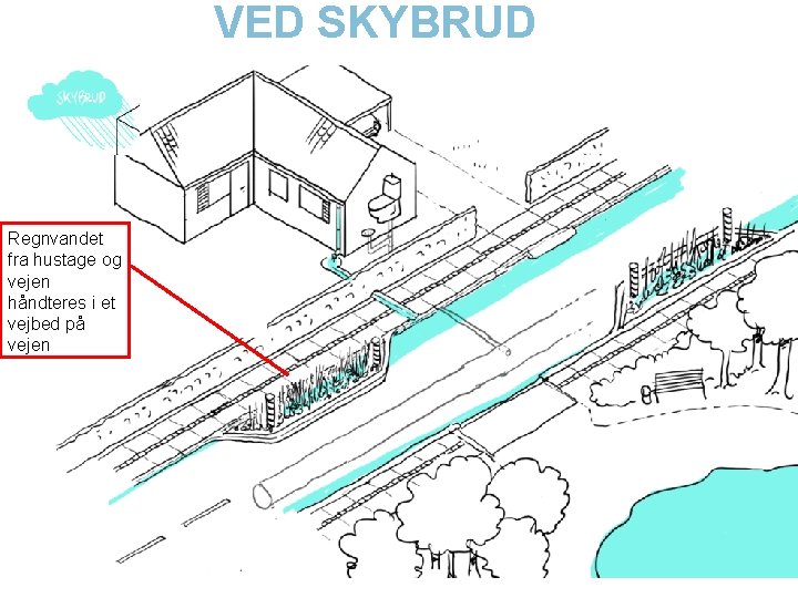 VED SKYBRUD Regnvandet fra hustage og vejen håndteres i et vejbed på vejen 19