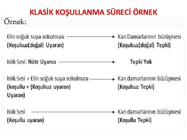 . KLASİK KOŞULLANMA SÜRECİ ÖRNEK 