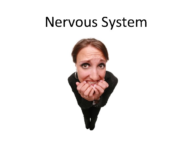 Nervous System 