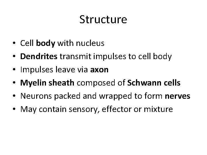 Structure • • • Cell body with nucleus Dendrites transmit impulses to cell body