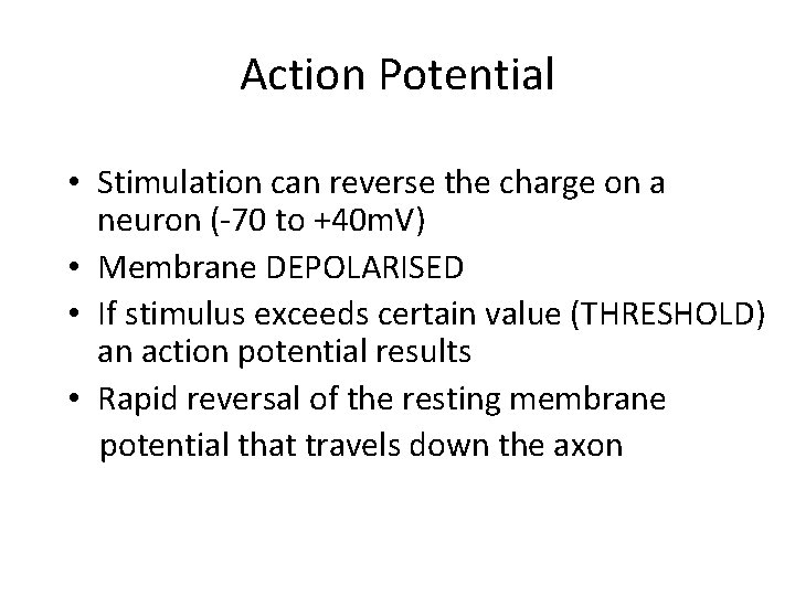 Action Potential • Stimulation can reverse the charge on a neuron (-70 to +40
