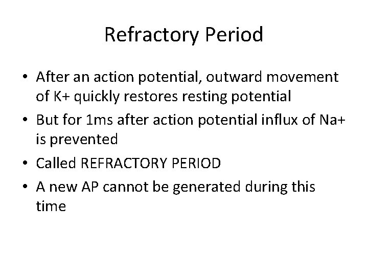 Refractory Period • After an action potential, outward movement of K+ quickly restores resting