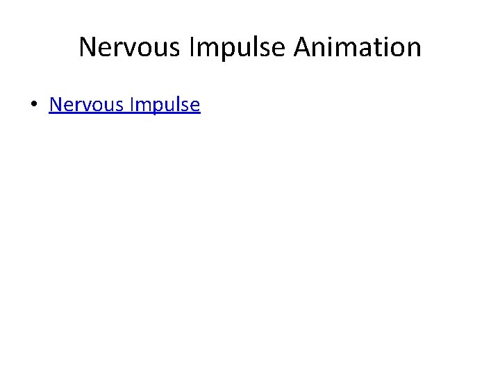 Nervous Impulse Animation • Nervous Impulse 