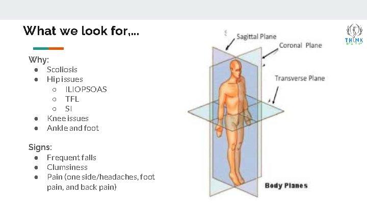 What we look for, . . . Why: ● Scoliosis ● Hip issues ○