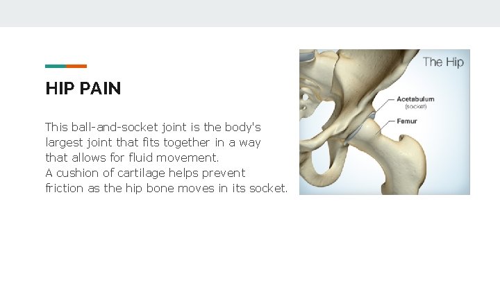 HIP PAIN This ball-and-socket joint is the body's largest joint that fits together in