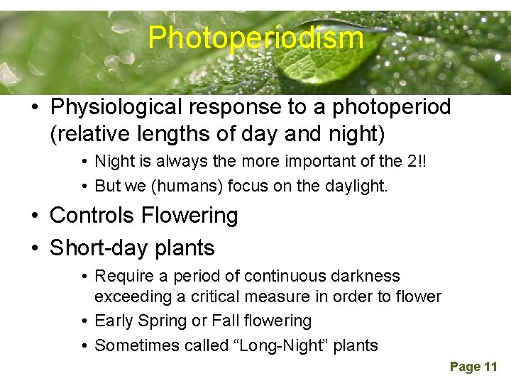 Photoperiodism Powerpoint Templates • Physiological response to a photoperiod (relative lengths of day and