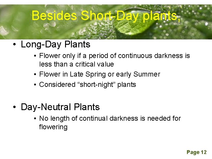 Besides. Powerpoint Short-Day plants, Templates • Long-Day Plants • Flower only if a period