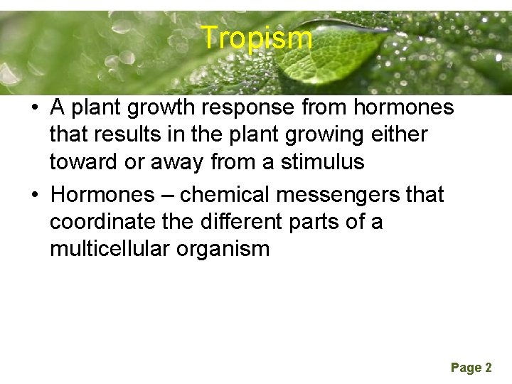 Tropism Powerpoint Templates • A plant growth response from hormones that results in the