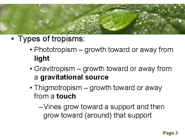 Powerpoint Templates • Types of tropisms: • Phototropism – growth toward or away from