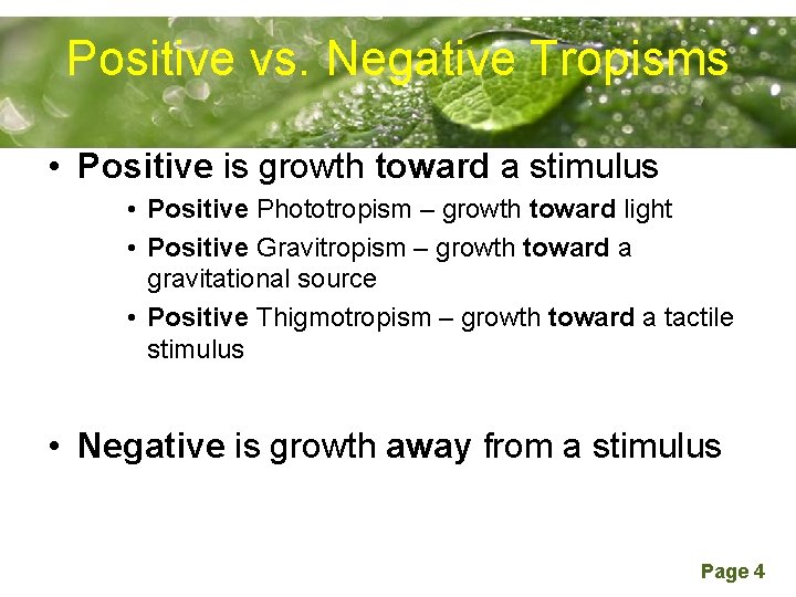 Positive vs. Negative Tropisms Powerpoint Templates • Positive is growth toward a stimulus •