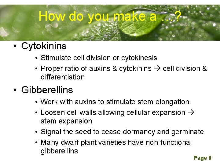 How do. Powerpoint you. Templates make a …? • Cytokinins • Stimulate cell division