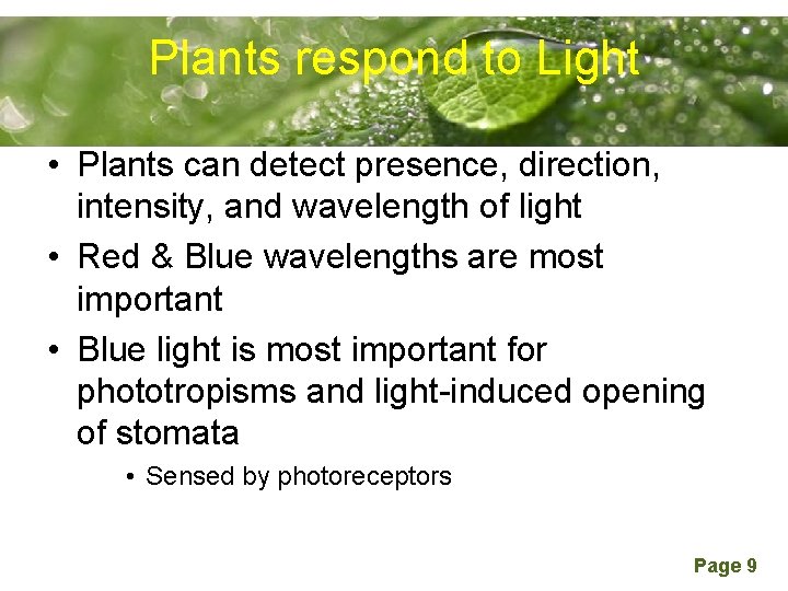 Plants. Powerpoint respond to Light Templates • Plants can detect presence, direction, intensity, and