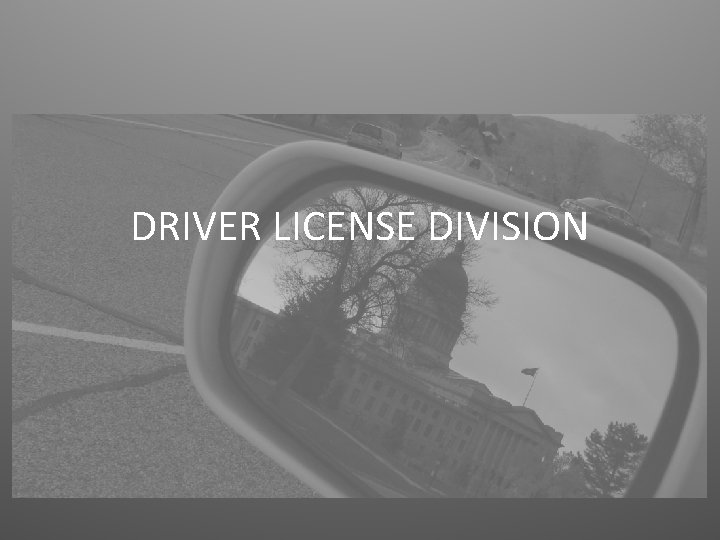 DRIVER LICENSE DIVISION 