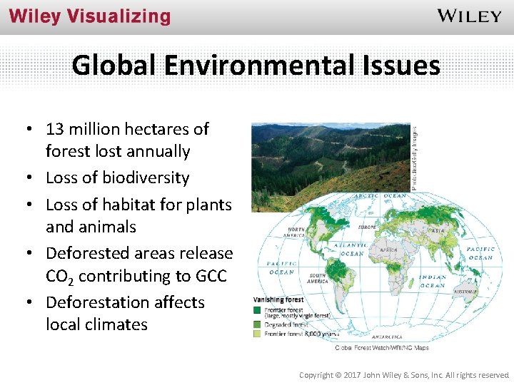 Global Environmental Issues • 13 million hectares of forest lost annually • Loss of