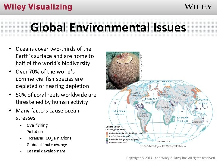 Global Environmental Issues • Oceans cover two-thirds of the Earth’s surface and are home