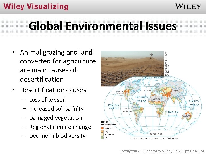 Global Environmental Issues • Animal grazing and land converted for agriculture are main causes