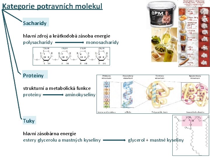 Kategorie potravních molekul Sacharidy hlavní zdroj a krátkodobá zásoba energie polysacharidy monosacharidy Proteiny strukturní