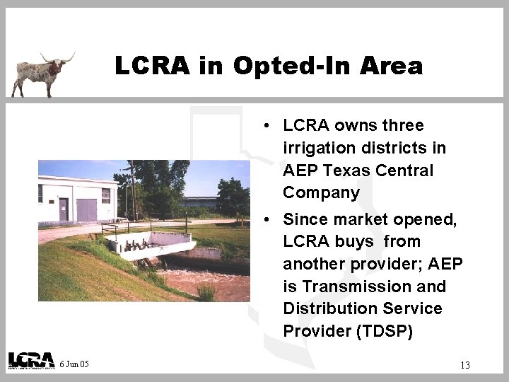 LCRA in Opted-In Area • LCRA owns three irrigation districts in AEP Texas Central