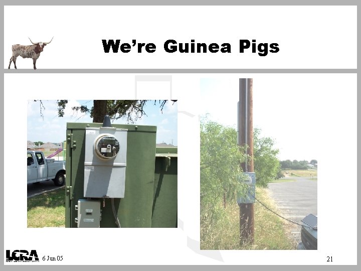 We’re Guinea Pigs 6 Jun 05 21 