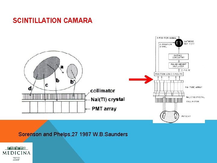 SCINTILLATION CAMARA Sorenson and Phelps, 27 1987 W. B. Saunders 
