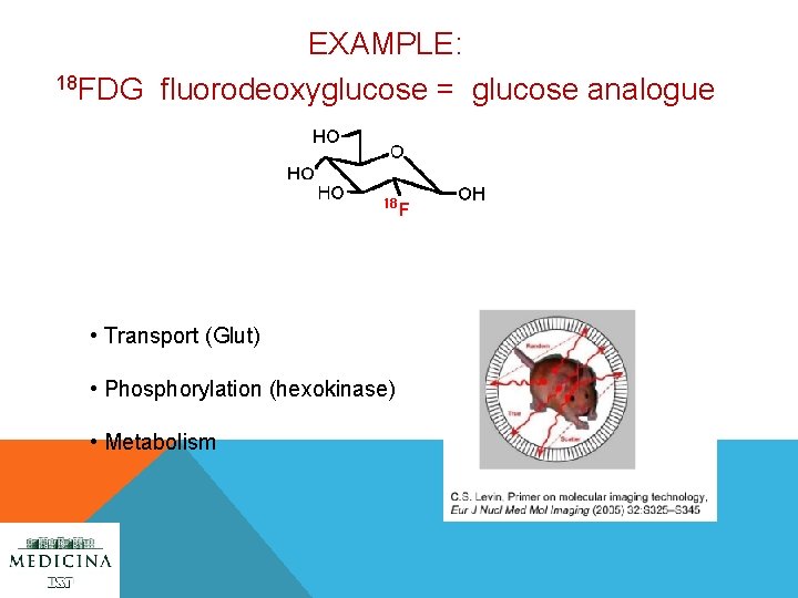 EXAMPLE: 18 FDG fluorodeoxyglucose = glucose analogue • Transport (Glut) • Phosphorylation (hexokinase) •