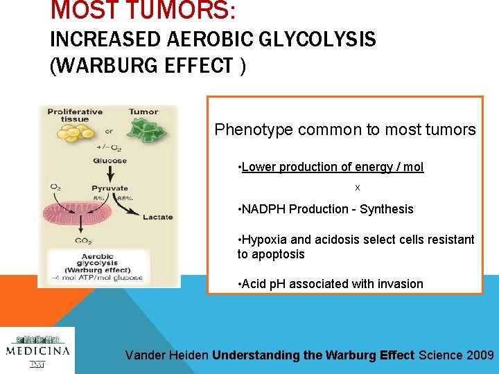 MOST TUMORS: INCREASED AEROBIC GLYCOLYSIS (WARBURG EFFECT ) Phenotype common to most tumors •