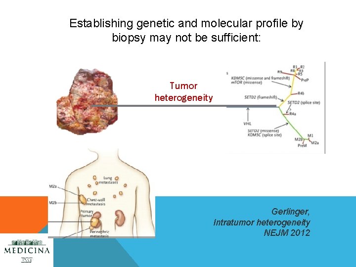 Establishing genetic and molecular profile by biopsy may not be sufficient: Tumor heterogeneity Gerlinger,