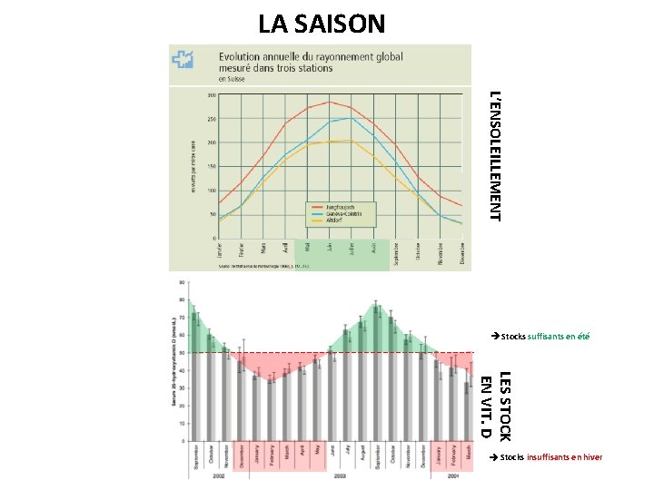 LA SAISON L’ENSOLEILLEMENT Stocks suffisants en été LES STOCK EN VIT. D Stocks insuffisants