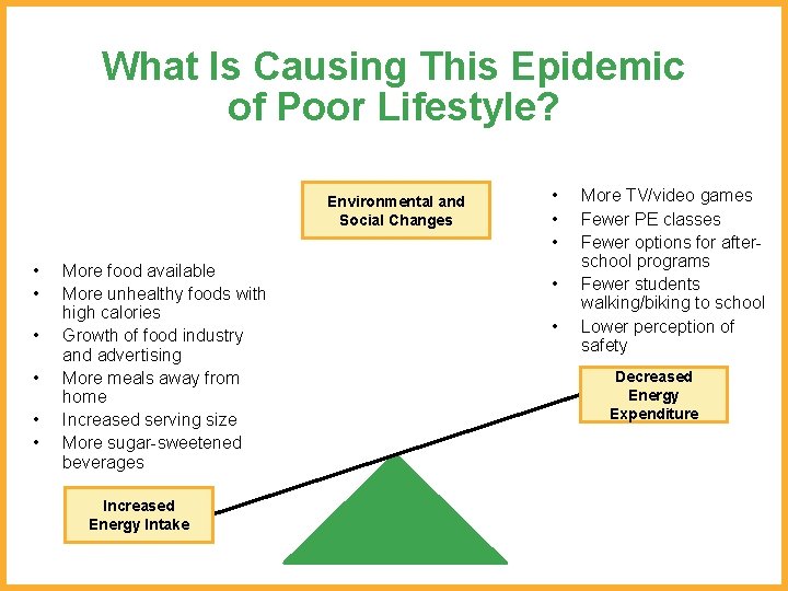 What Is Causing This Epidemic of Poor Lifestyle? Environmental and Social Changes • •