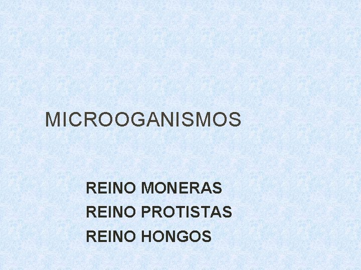 MICROOGANISMOS REINO MONERAS REINO PROTISTAS REINO HONGOS 
