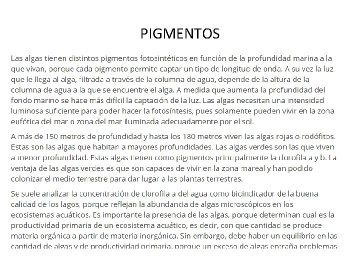 PIGMENTOS PIGMENTOS
