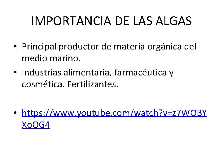 IMPORTANCIA DE LAS ALGAS • Principal productor de materia orgánica del medio marino. •