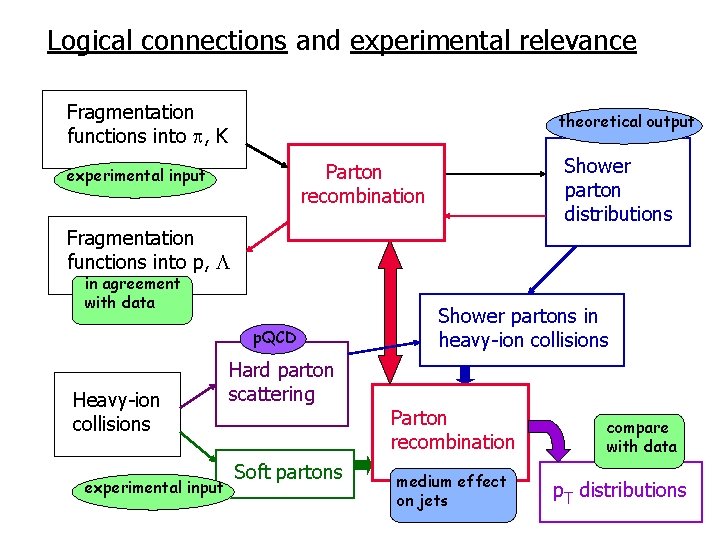 Logical connections and experimental relevance Fragmentation functions into , K theoretical output Shower parton