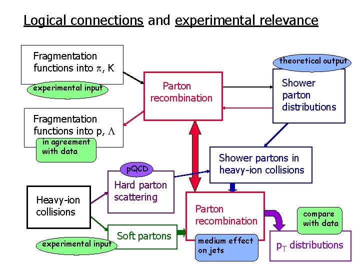 Logical connections and experimental relevance Fragmentation functions into , K theoretical output Shower parton