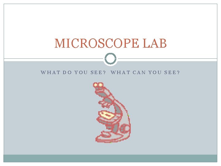 MICROSCOPE LAB WHAT DO YOU SEE? WHAT CAN YOU SEE? 