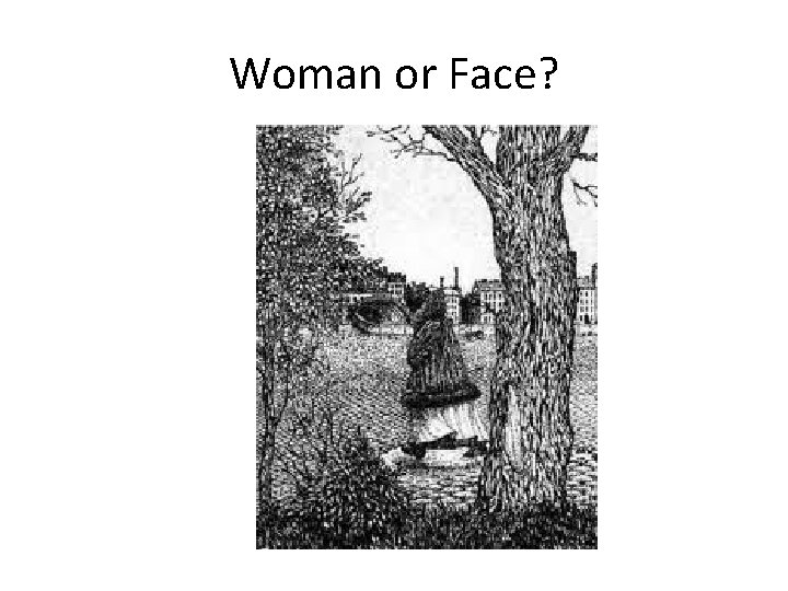 Woman or Face? 