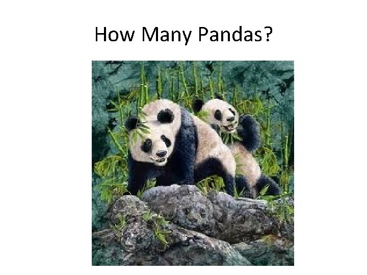 How Many Pandas? 