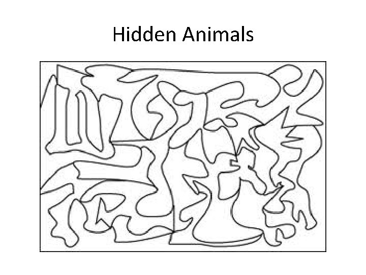 Hidden Animals 