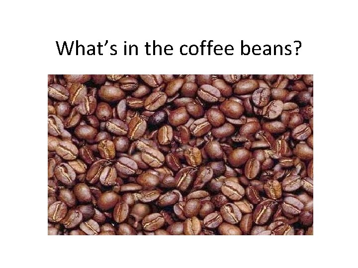 What’s in the coffee beans? 