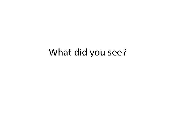 What did you see? 