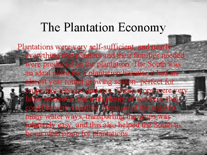 The Plantation Economy Plantations were very self-sufficient, and nearly everything that planters and their