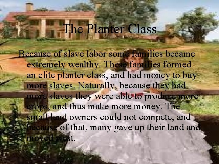 The Planter Class Because of slave labor some families became extremely wealthy. These families
