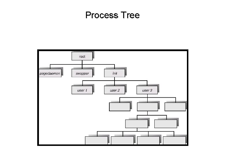 Process Tree 