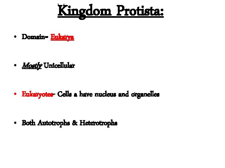 Kingdom Protista: • Domain= Eukarya • Mostly Unicellular • Eukaryotes- Cells a have nucleus