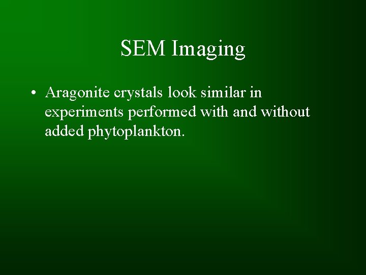SEM Imaging • Aragonite crystals look similar in experiments performed with and without added