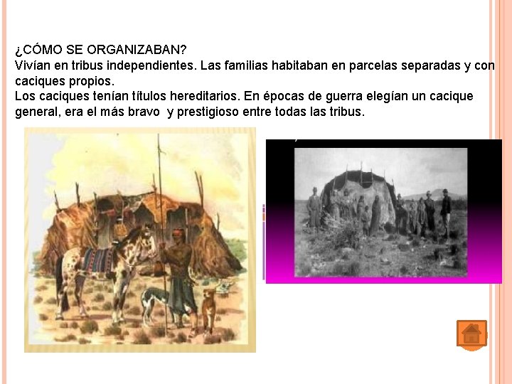 ¿CÓMO SE ORGANIZABAN? Vivían en tribus independientes. Las familias habitaban en parcelas separadas y