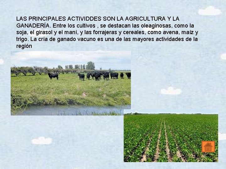 LAS PRINCIPALES ACTIVIDDES SON LA AGRICULTURA Y LA GANADERÍA. Entre los cultivos , se
